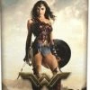 Dragon Shield - DC Justice League JL Wonder Woman - Matte Art Sleeves (100CT)
