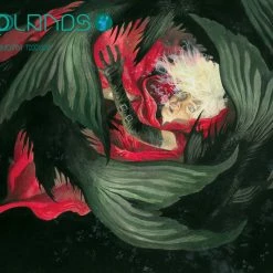 Image Comics Echolands Raw Cut Edition #4 Cover A Williams III (MR) - Image Comic Book All Comic Books