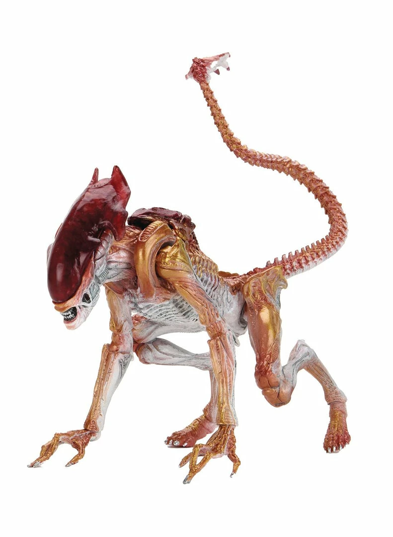 Aliens Kenner Tribute Ult Panther Alien (C: 1-1-2) - NECA 7in Action Figure 3 Aliens Kenner Tribute Ult Panther Alien (C: 1-1-2) - NECA 7in Action Figure