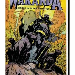 Wakanda World Black Panther Omnibus Greene CVR - Marvel PRH Comic Book (Hardcover) [Pre-order]