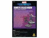 ATOMIC MASS GAMES Marvel Crisis Protocol: Hawkeye And Black Widow