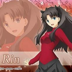 Fate/stay Night: Heaven`s Feel - Saber Artoria & Rin - Character Storage Box W/Dividers Deck Boxes & Storage Boxes