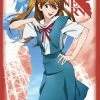 Rebuild Of Evangelion - Asuka Langley - Character Sleeves 80CT Ver.2 2 Rebuild Of Evangelion - Asuka Langley - Character Sleeves 80CT Ver.2