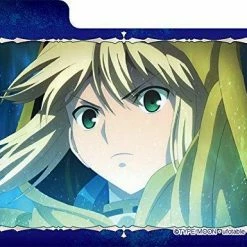 Fate/stay Night: Heaven`s Feel - Saber Artoria Pendragon - MAX Deck Box W/Divider Deck Boxes & Storage Boxes