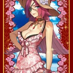 Card Sleeves Fate/Extella Link Rider Francis Drake Brilliant Summer Vacation Ane-san Ver. Sleeves 80CT