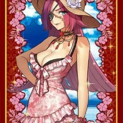 Card Sleeves Fate/Extella Link Rider Francis Drake Brilliant Summer Vacation Ane-san Ver. Sleeves 80CT