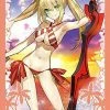 Fate/Grand Order Nero Claudius Red Saber - Character Sleeves 80CT FGO Card Sleeves