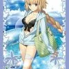 Card Sleeves Fate Grand Order Archer Jeanne D`Arc - Character Sleeves 80CT FGO
