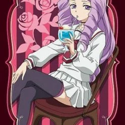 Vanguard - Rin Hashima - Character Mini Sleeves Vol.311