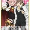 Fate/Apocrypha - Astolfo & Sieg - Character Sleeves Vol.263 Card Sleeves