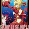 Fate/EXTELLA - Nero Claudius Red Saber - Character Sleeves Vol.264 [In Stock] Card Sleeves