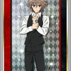 Fate/Apocrypha - Sieg - Character Sleeves HG Vol.1503 Card Sleeves 5 Fate/Apocrypha - Sieg - Character Sleeves HG Vol.1503 Card Sleeves