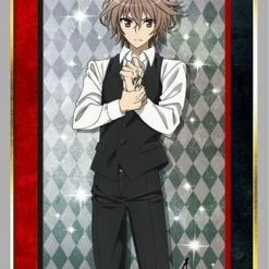Fate/Apocrypha - Sieg - Character Sleeves HG Vol.1503 Card Sleeves