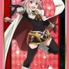 Card Sleeves Fate/Apocrypha - Astolfo Rider Of Black - Character Sleeves HG Vol.1508