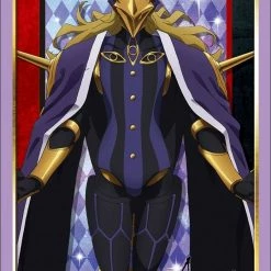 Card Sleeves Fate/Apocrypha - Caster Of Black Avicebron - Character Sleeves HG Vol.1509