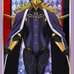 Card Sleeves Fate/Apocrypha - Caster Of Black Avicebron - Character Sleeves HG Vol.1509