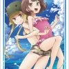 Sword Art Online GGO Karen Llenn & Fukaziroh Swimwear Ver. - Character Sleeves SAO HG Vol.1642 Card Sleeves