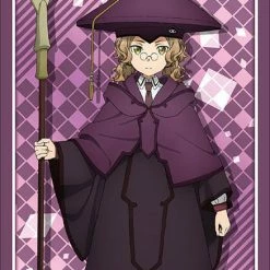 Sword Art Online Alicization - Cardinal - Character Sleeves SAO HG Vol.2036 Card Sleeves