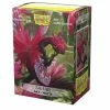 ARCANE TINMEN Dragon Shield - Sahar - Japanese Matte Art Sleeves (60CT) 2 ARCANE TINMEN Dragon Shield - Sahar - Japanese Matte Art Sleeves (60CT)