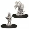 WIZKIDS Pathfinder: Deep Cuts Minis: Male Gnome Sorcerer W9 Unpainted Miniatures