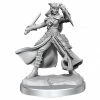 WIZKIDS Miniature Games Dungeons & Dragons D&D Frameworks: Tiefling Rogue Female W1 Unpainted Miniatures [Pre-order]
