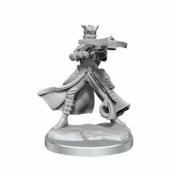 WIZKIDS Miniature Games Dungeons & Dragons D&D Frameworks: Tiefling Rogue Female W1 Unpainted Miniatures [Pre-order]