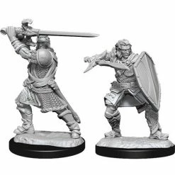 WIZKIDS Dungeons And Dragons D&D: Nolzur's Marvelous Minis: Human Paladin Male W14 Miniatures Miniature Games