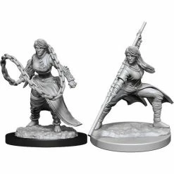 WIZKIDS Miniature Games Dungeons And Dragons D&D: Nolzur's Marvelous Minis: Human Monk Female W14 Miniatures (Pre-order)