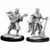 WIZKIDS Miniature Games Dungeons And Dragons D&D: Nolzur's Marvelous Minis: Tiefling Bard Female W14 Miniatures