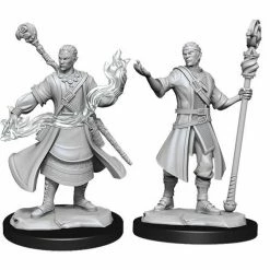 WIZKIDS Dungeons And Dragons D&D: Nolzur's Marvelous Minis: Half-Elf Wizard Male W14 Miniatures