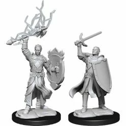WIZKIDS Dungeons And Dragons D&D: Nolzur's Marvelous Minis: Half-Elf Paladin Male W14 Miniatures (Pre-order) Miniature Games