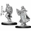 WIZKIDS Dungeons And Dragons D&D: Nolzur's Marvelous Minis: Kalashtar Cleric Female W14 Miniatures