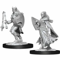 WIZKIDS Dungeons And Dragons D&D: Nolzur's Marvelous Minis: Kalashtar Cleric Female W14 Miniatures