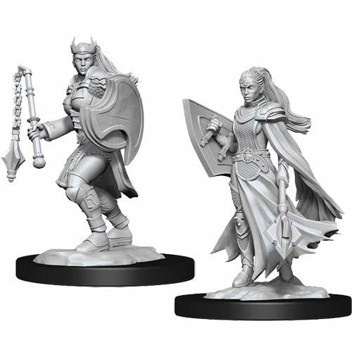 WIZKIDS Dungeons And Dragons D&D: Nolzur's Marvelous Minis: Kalashtar Cleric Female W14 Miniatures 3 WIZKIDS Dungeons And Dragons D&D: Nolzur's Marvelous Minis: Kalashtar Cleric Female W14 Miniatures