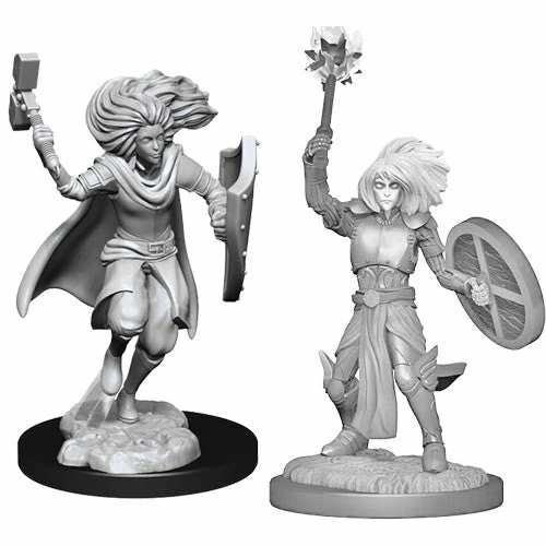 WIZKIDS Dungeons And Dragons D&D: Nolzur's Marvelous Minis: Changeling Cleric Male W14 Miniatures 3 WIZKIDS Dungeons And Dragons D&D: Nolzur's Marvelous Minis: Changeling Cleric Male W14 Miniatures