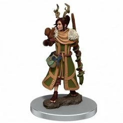 WIZKIDS Dungeons & Dragons: Icons Of The Realms Premium Figures W7 Female Human Druid Fantasy Miniatures