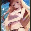 C97 Fate Grand Order FGO - Ereshkigal Swimsuit Ver. Circle Piraruuki - Doujin Mature Character Sleeves Card Sleeves