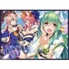 (Comiket C94) Fate - Tamamo No Mae & Musashi & Kiyohime - Doujin Mature Character Sleeves Card Sleeves