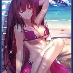 C1☆13 Fate Scathach Shishou Assassin - Doujin Mature Character Sleeves FGO Card Sleeves