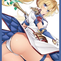 COMIC☆1 15 Fate Grand Order Lancer Bradamante Back Coat - Doujin Mature Character Sleeves FGO Card Sleeves