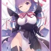 Card Sleeves COMIC☆1 15 Fate Grand Order Sakura Matou BB - Doujin Mature Character Sleeves FGO