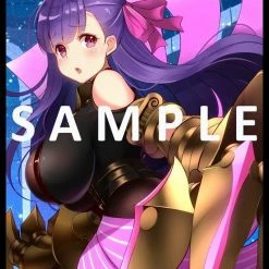 Fate Extra CCC Grand Order Passionlip - Limited Exclusive Doujin Mature Character Sleeves FGO Card Sleeves