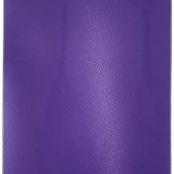 Dragon Shield - Purple - Matte Basic Sleeves (100CT) [In Stock] Card Sleeves