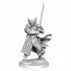 WIZKIDS Dungeons & Dragons D&D Frameworks: Dragonborn Paladin Male W1 Unpainted Miniatures [Pre-order] Miniature Games