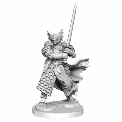 WIZKIDS Dungeons & Dragons D&D Frameworks: Dragonborn Paladin Male W1 Unpainted Miniatures [Pre-order] Miniature Games