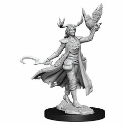 WIZKIDS Dungeons & Dragons D&D Frameworks: Human Druid Female W1 Unpainted Miniatures [Pre-order]