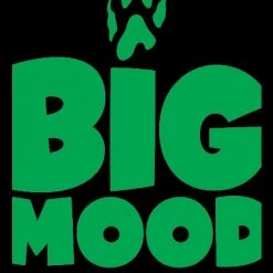 LEGION SUPPLIES Big Mood Art Sleeves (50 CT)