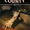 Novels Harrow County Vol 01 Countless Haints - Dark Horse Comics Graphic Novel (Trade Paperback)