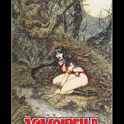 Vampirella Chin Lithograph SGN By Dynamite