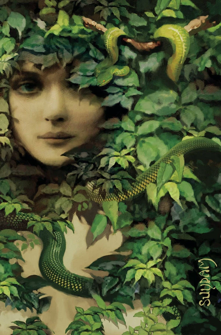 Sheena Queen Jungle #2 Cover L Suydam Limited Virgin Edition - Dynamite Comic Book All Comic Books 3 Sheena Queen Jungle #2 Cover L Suydam Limited Virgin Edition - Dynamite Comic Book All Comic Books